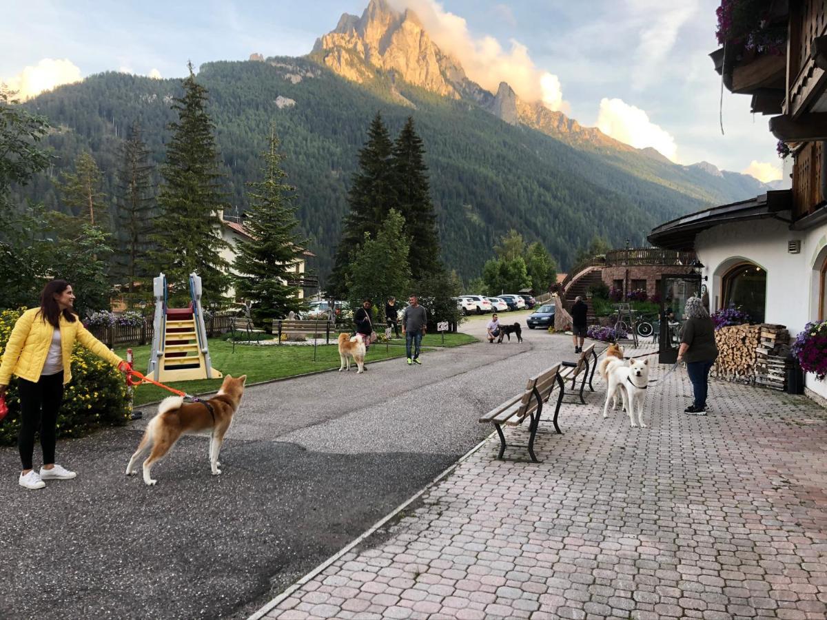 Alpine Touring Hotel-Petfriendly Pozza di Fassa Exteriér fotografie