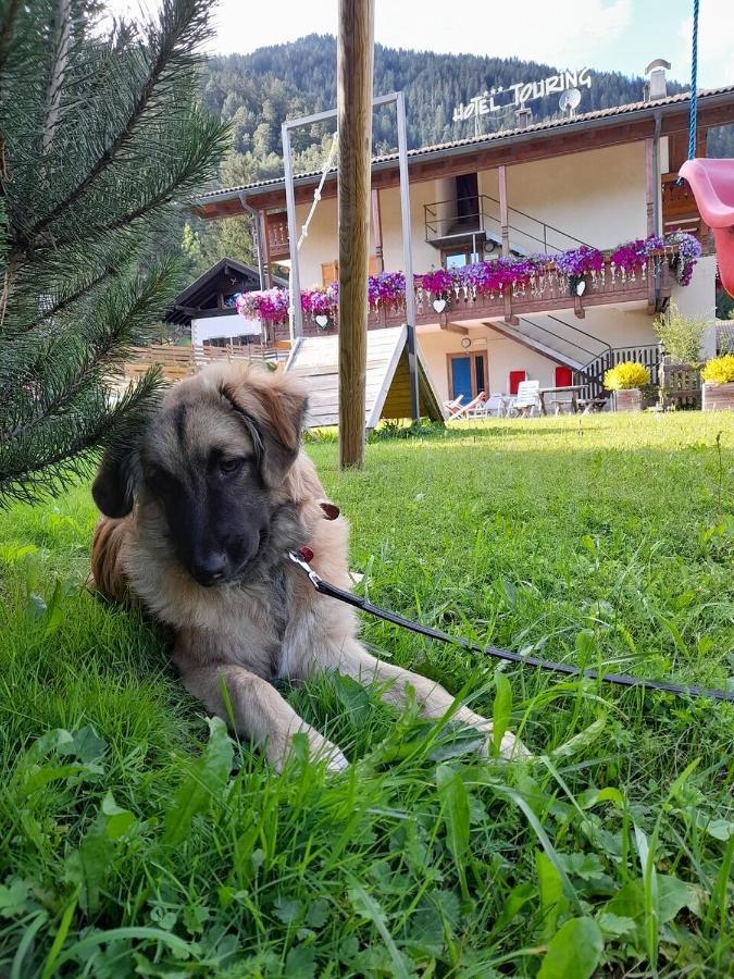 Alpine Touring Hotel-Petfriendly Pozza di Fassa Exteriér fotografie