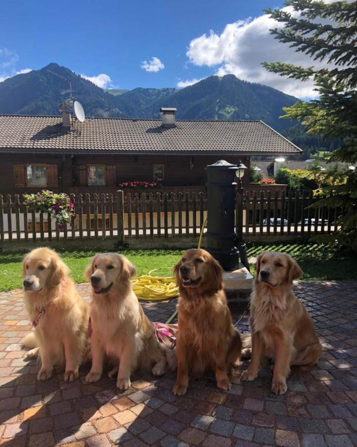 Alpine Touring Hotel-Petfriendly Pozza di Fassa Exteriér fotografie